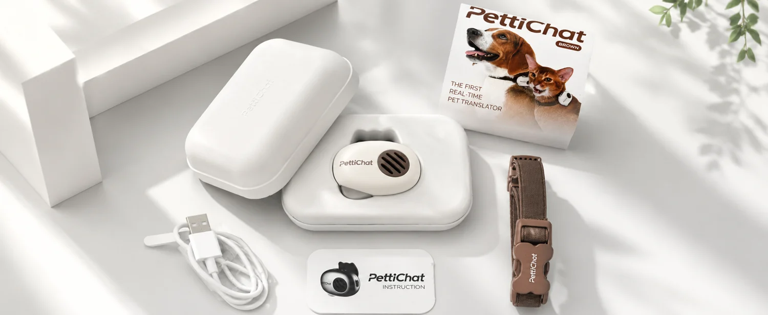 pettichat